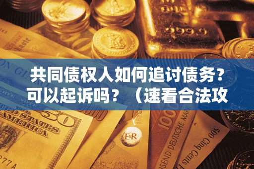 北京共同债权人如何追讨债务？可以起诉吗？（速看合法攻略）