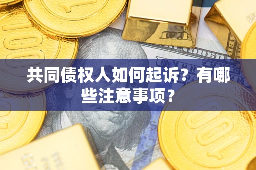 北京共同债权人如何起诉？有哪些注意事项？